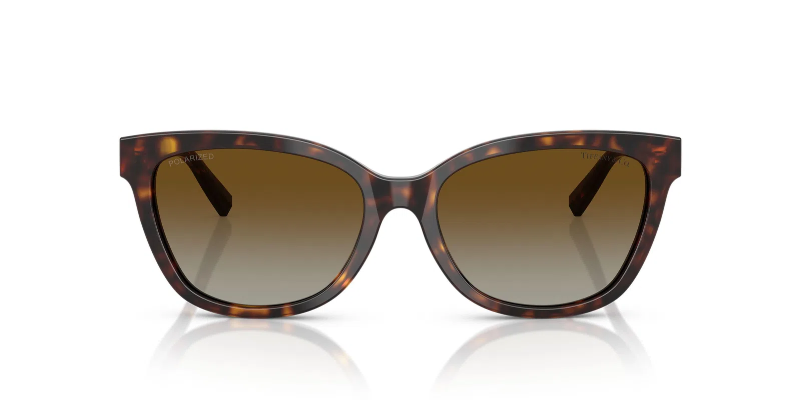 Tiffany 4237BF Sunglasses - view 13